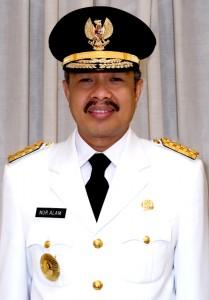 Gubernur Sultra Nur Alam. (wikipedia)