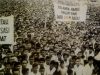 50 Tahun Papua Bersama NKRI: Refleksi Sebuah Klaim Persaudaraan