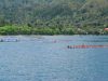 Hari Ini, Disbudpar Maluku Gelar Pesta Teluk Yang ke VI