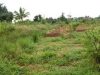 Pemprov Sulbar Siapkan Lahan Lima Hektar Untuk Kantor Mapolda