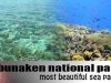 Taman Laut Bunaken Jadi Pusat Perhatian Dunia Internasional