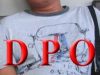 Polda Papua Tetapkan 54 Orang DPO