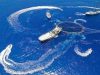 Perairan Maluku Dipenuhi Ratusan Kapal Bermasalah