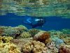 Laut Maluku Adalah Laboratorium Terbesar Indonesia