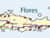Kendala Pemekaran Flores; Setiap Kabupaten Ingin Jadi Ibu Kota