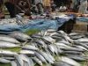 Makanan Cepat Saji, Ancaman Serius Menurunnya Konsumsi Ikan Lokal