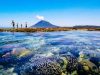 Lewat Famtrip 2015, Indonesia Kenalkan Wakatobi dan Manado ke Jepang