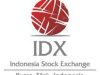 Bursa Efek Dukung Partisipasi Investor Indonesia Timur