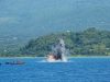 112 Unit Kapal Ikan Ilegal di Ambon Terancam Ditenggelamkan