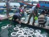 Gorontalo Fokus Garap Sektor Kelautan dan Perikanan