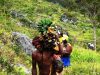 Ketua GPN: ‘Petani Papua Itu Kerja Paling Pagi, Tapi Paling Tidak Sejahtera’