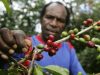 Mendag: Kopi Asal Papua Punya Potensi Besar dan Layak Diekspor