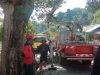 Antisipasi Cuaca Ekstrim, Disdamkar Kota Ambon Pangkas Pohon