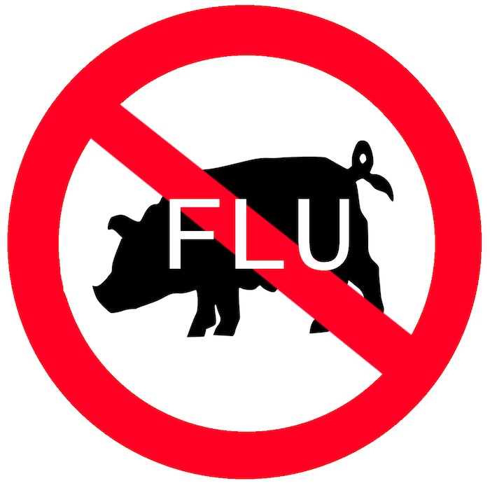 Flu Babi H1N1