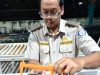 BKHIT Maluku Ijinkan 240 Ekor Kepiting Bakau Dikirim Ke Jakarta