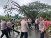 Aksi Cepat POLRI Evakuasi Pohon Tumbang, Kapolres Kepulauan Tanimbar On The Spot Lokasi