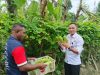 Sukses Tengah Pekan, Lapas Wahai Panen 100 Buah Mentimun dan Pare