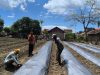 Pemasangan Mulsa, Langkah Lanjut Lapas Wahai Garap Lahan Pertanian Baru