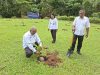 Dari Saparua untuk Indonesia: Lapas Saparua Ikut Tanam Pohon Kelapa Serentak