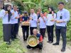 Berkah Melimpah, Warga Binaan Lapas Wahai Panen Tomat dan Cabe Setiap Pekan