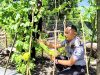 Bukti Produktivitas Tanpa Batas, Warga Binaan Lapas Wahai Panen Pare