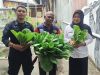 Panen Sayur Sistem Vertikultur, Bukti Nyata Keberhasilan Warga Binaan Lapas Wahai