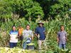 Lapas Namlea Sukses Panen Jagung Pulut dari Optimalisasi Lahan Idle