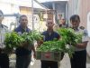 Wujud Kemandirian Pangan, Warga Binaan Lapas Wahai Kembali Panen Sayuran Hidroponik