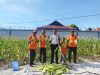 Lapas Namlea Kembali Panen Jagung Pulut, Hasilkan 450 Kg dari Program Pembinaan